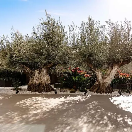 Luxury ***** וילה פלטחה ד'ארו