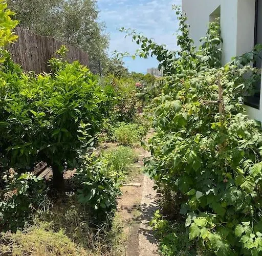 Luxury ***** * Platja d'Aro (Playa de Aro)